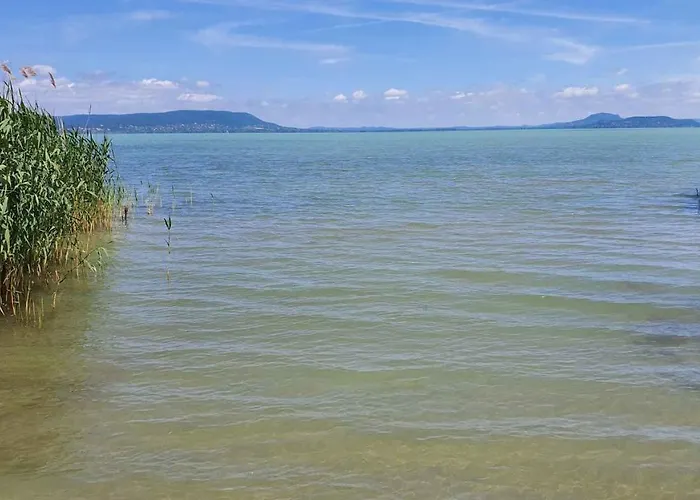 In 43118 * Balatonmáriafürdő